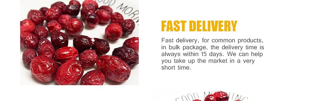 freeze dried cranberries (3) product-1000-325