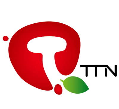 تیانجن ٹی ٹی این ٹیکنالوجی کمپنی لمیٹڈ۔